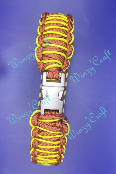Collier pour chien
